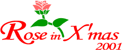 Rose in Xfmas