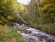 �߂��̌k��