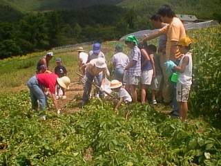 �W���K�C���@��