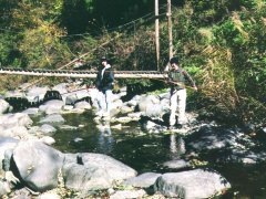 ���}���͒ނ�邩��