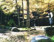 �Â��ɒނ���y����