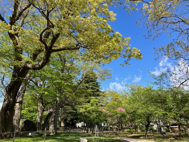 今日の県の森：画像