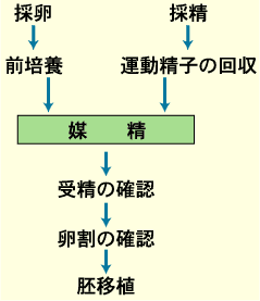 ����: ����: C:\homepage\funin\images\parts01.gif